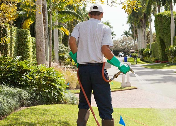 About Fingal ND Pest Control